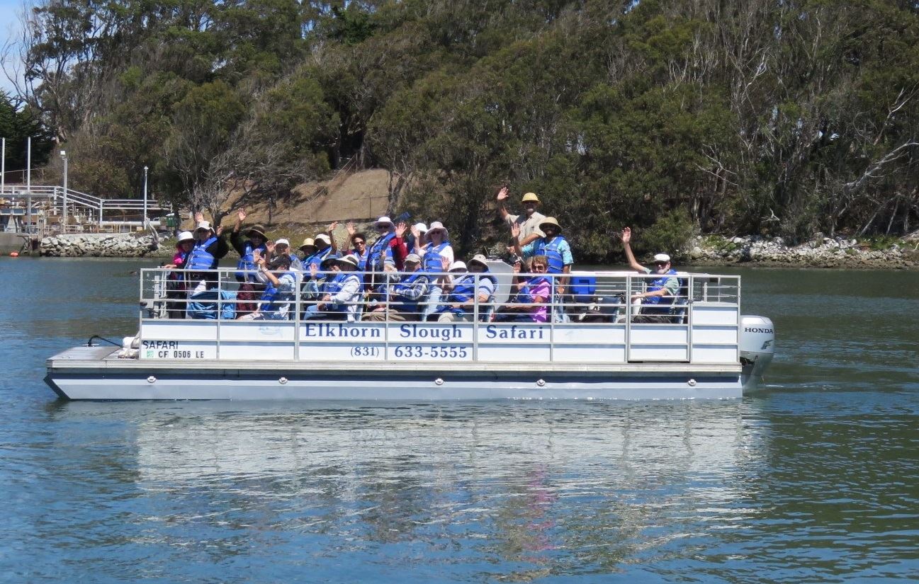 Elkhorn Slough Trip August 28, 2015