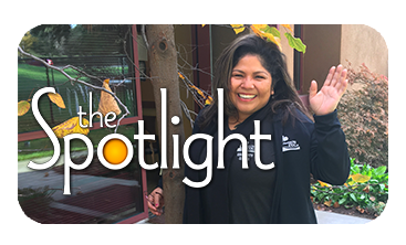 WS22 Spotlight Cover